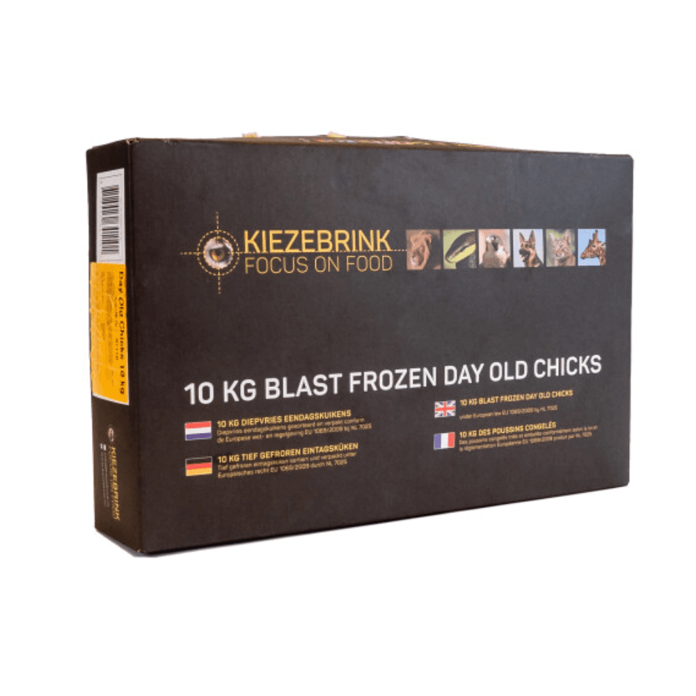 Eendagskuikens (Zwarte Doos)