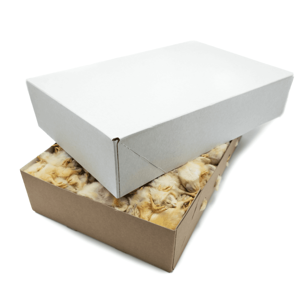 Kuikens (Witte Doos)