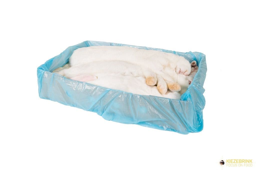 Rabbit L 4-5.5 kg - 2 pcs/box