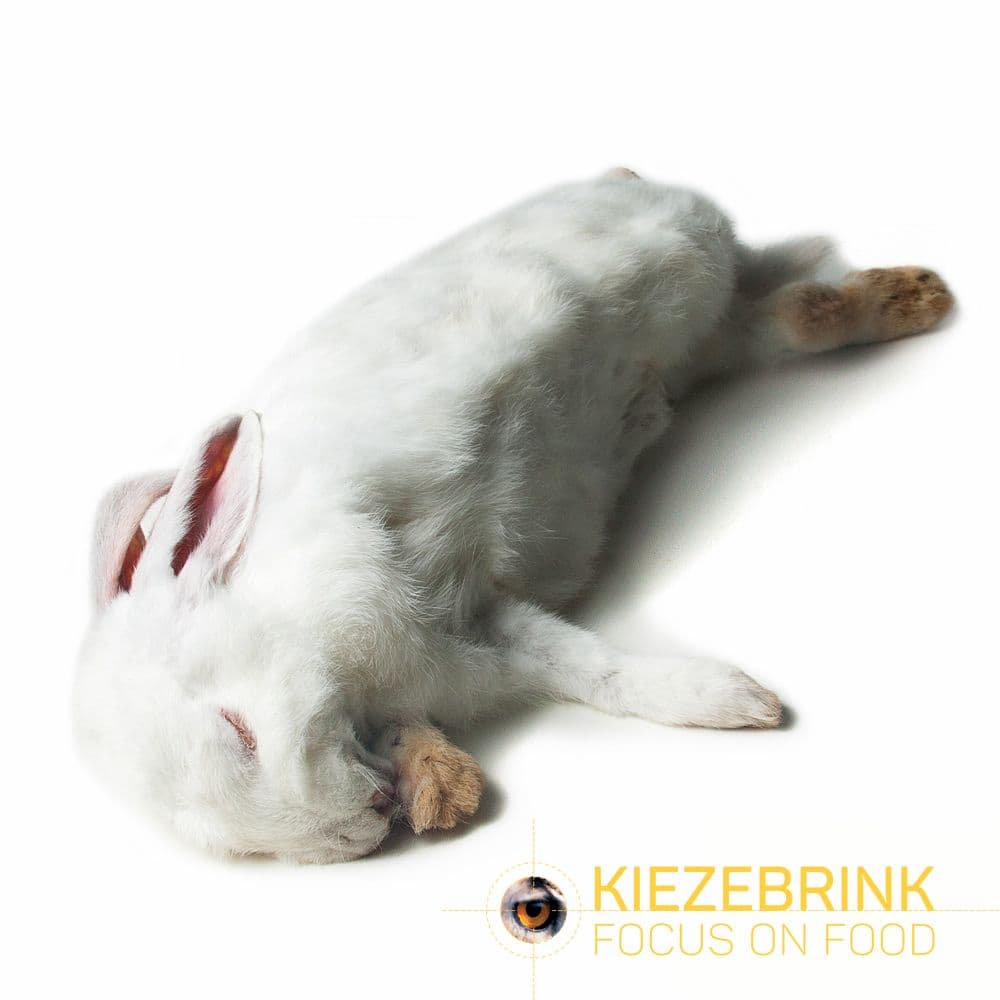 Rabbit XL >5 kg - ca. 300 kg