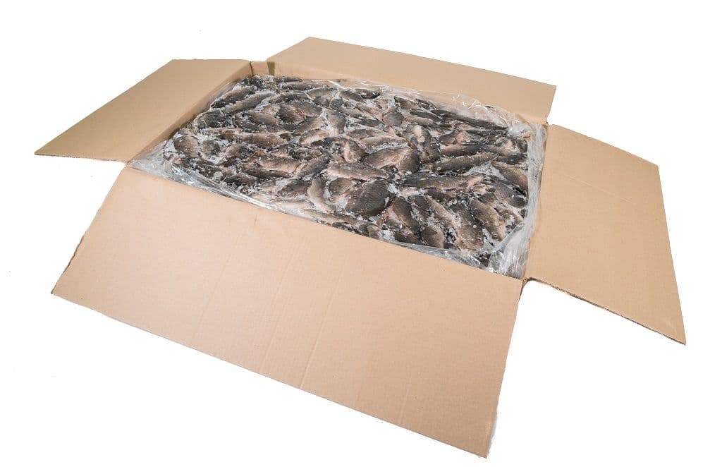Carp small - 10 kg box