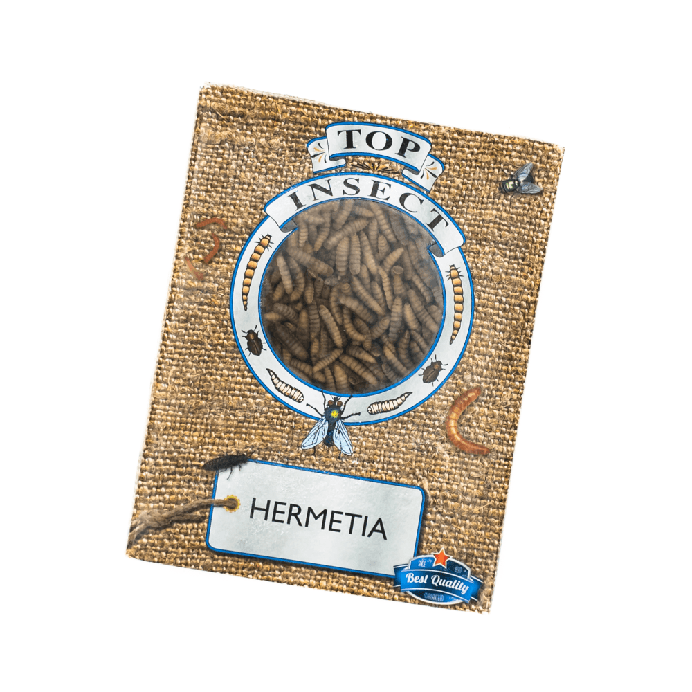 Hermetia