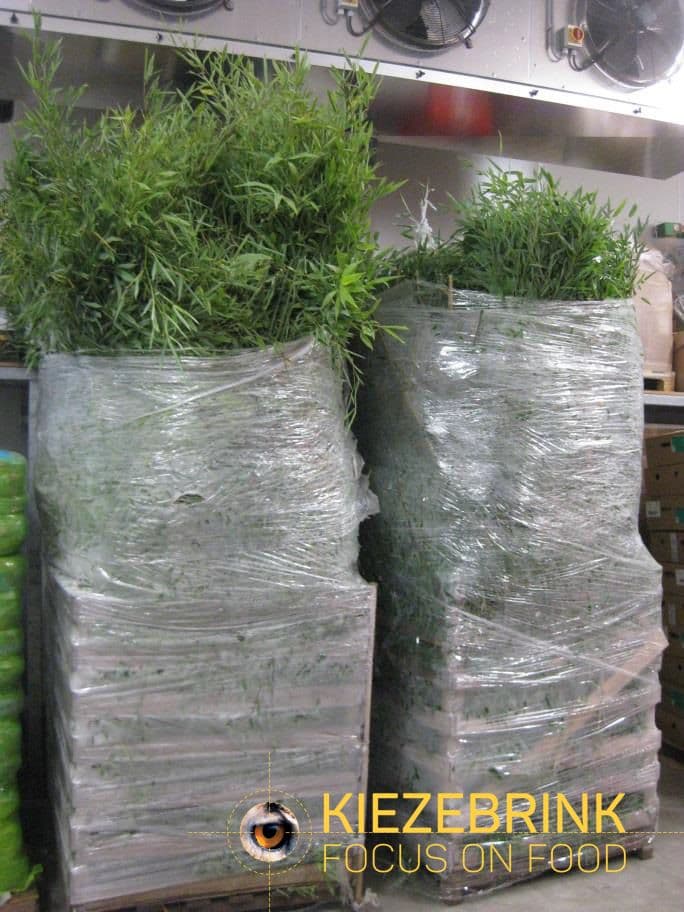 Bamboe Bevroren - ca. 250 kg