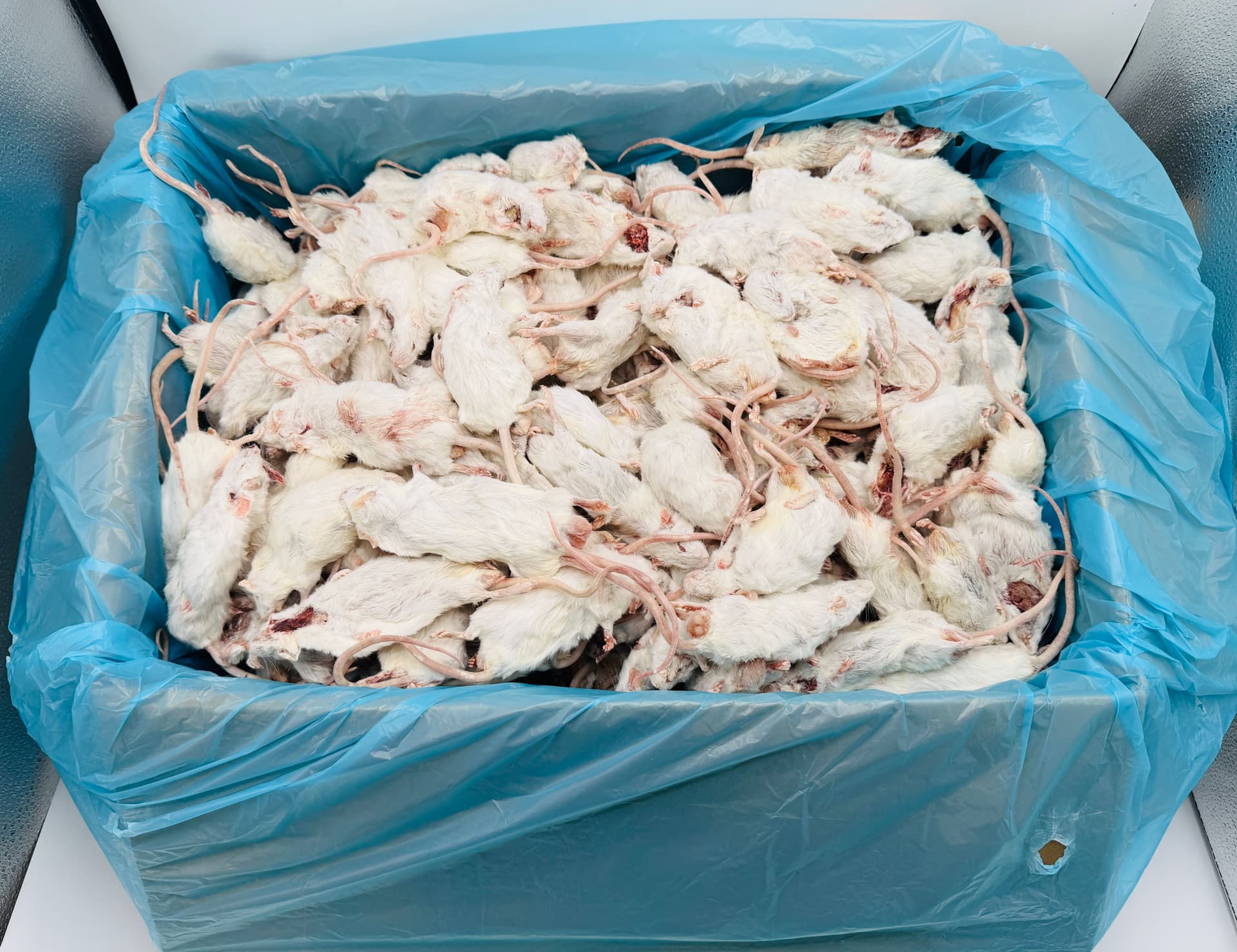 Mix Muis (6-40 g) B-kwaliteit