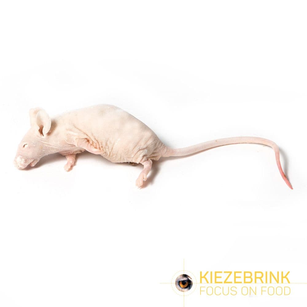 Naakte Muis (15-45 g)