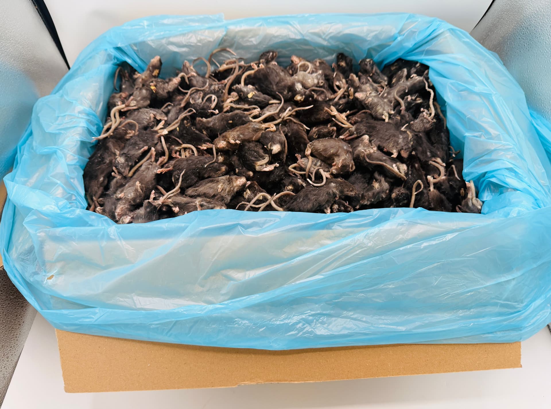 Mix Donkere Muis (±6-40 g)