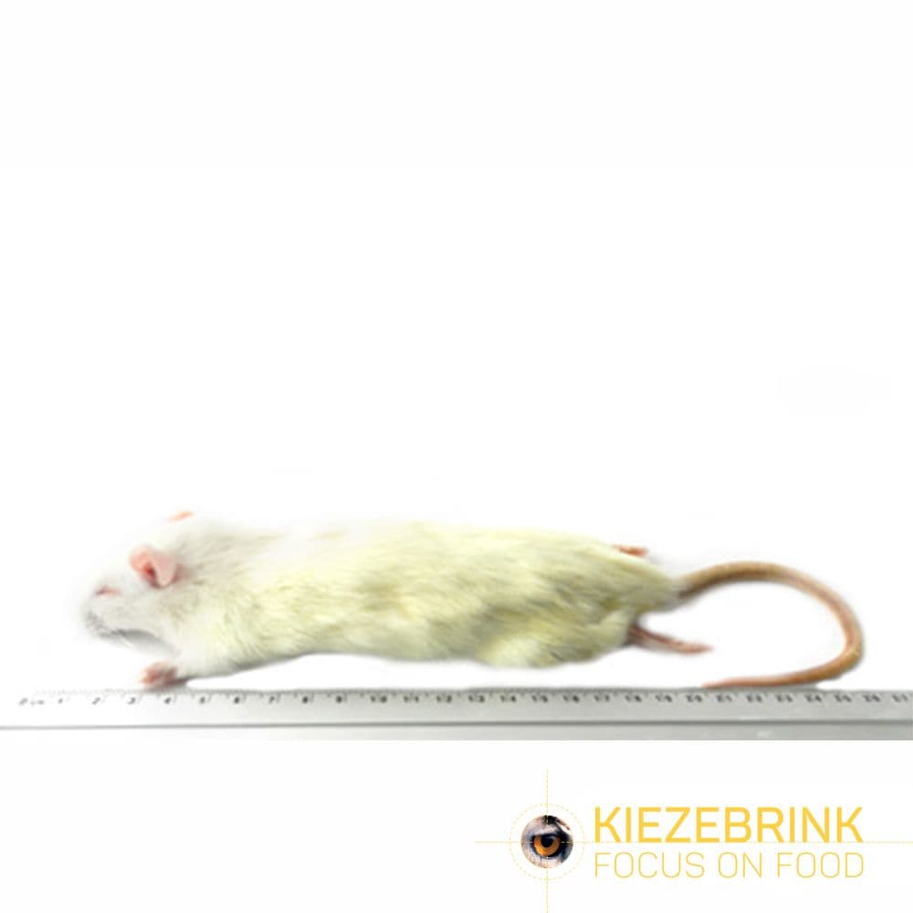Kleine Rat (90-150 g)