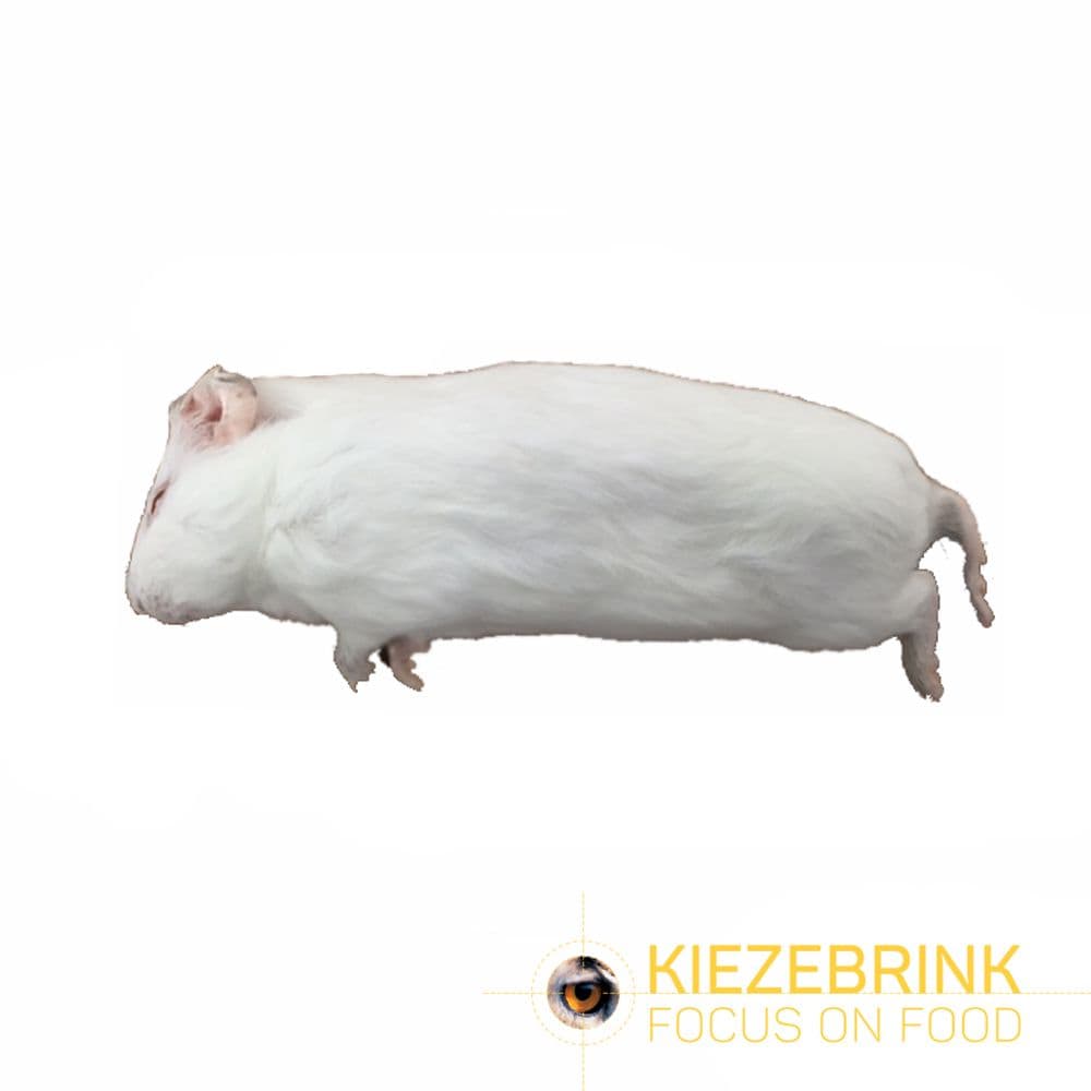 Meerschwein <300 g, 5x 5 Stücke