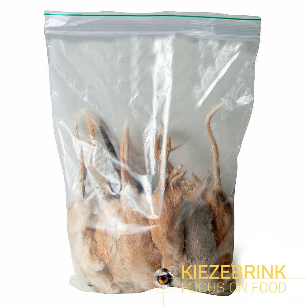 Gerbil (15-70 g) - 10 st.