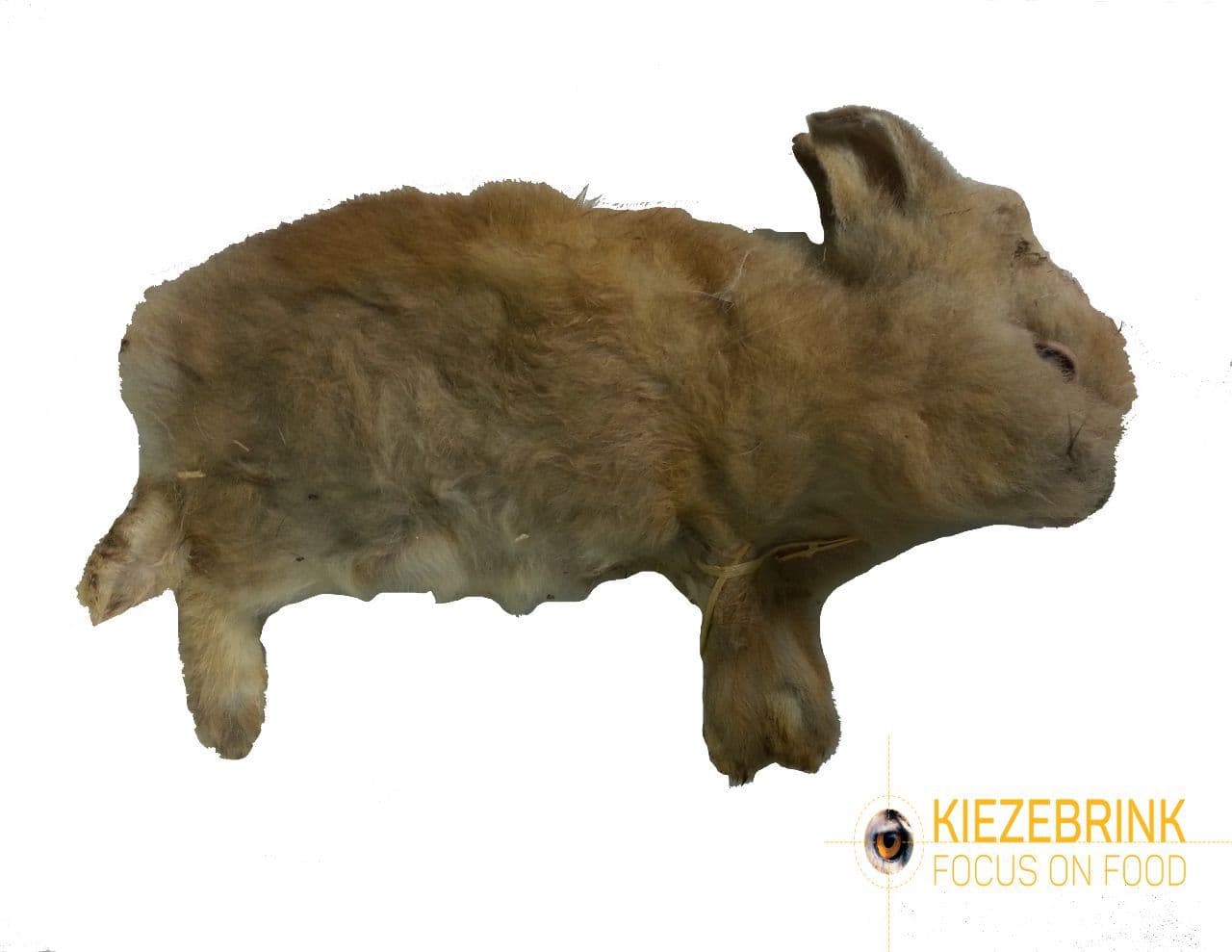 Konijn XS (200-300 g) - 35 st./doos