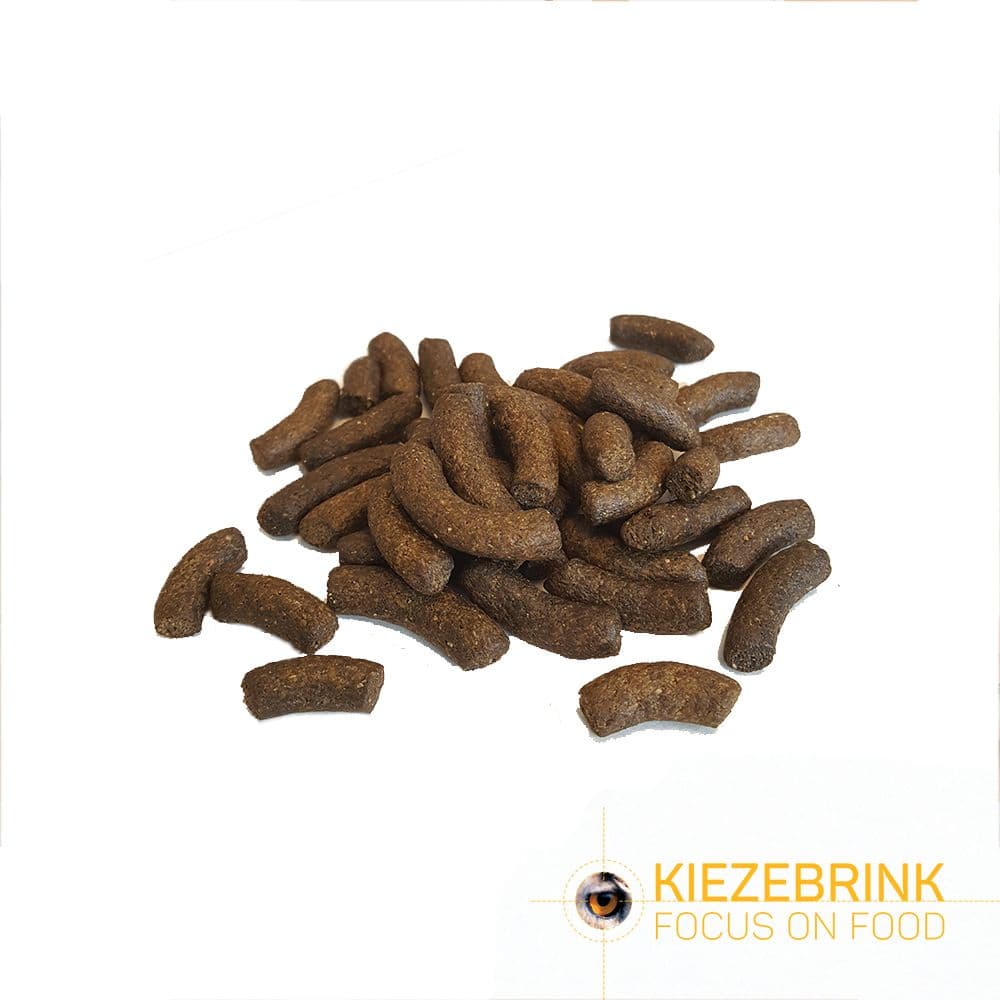 DK New World Primate