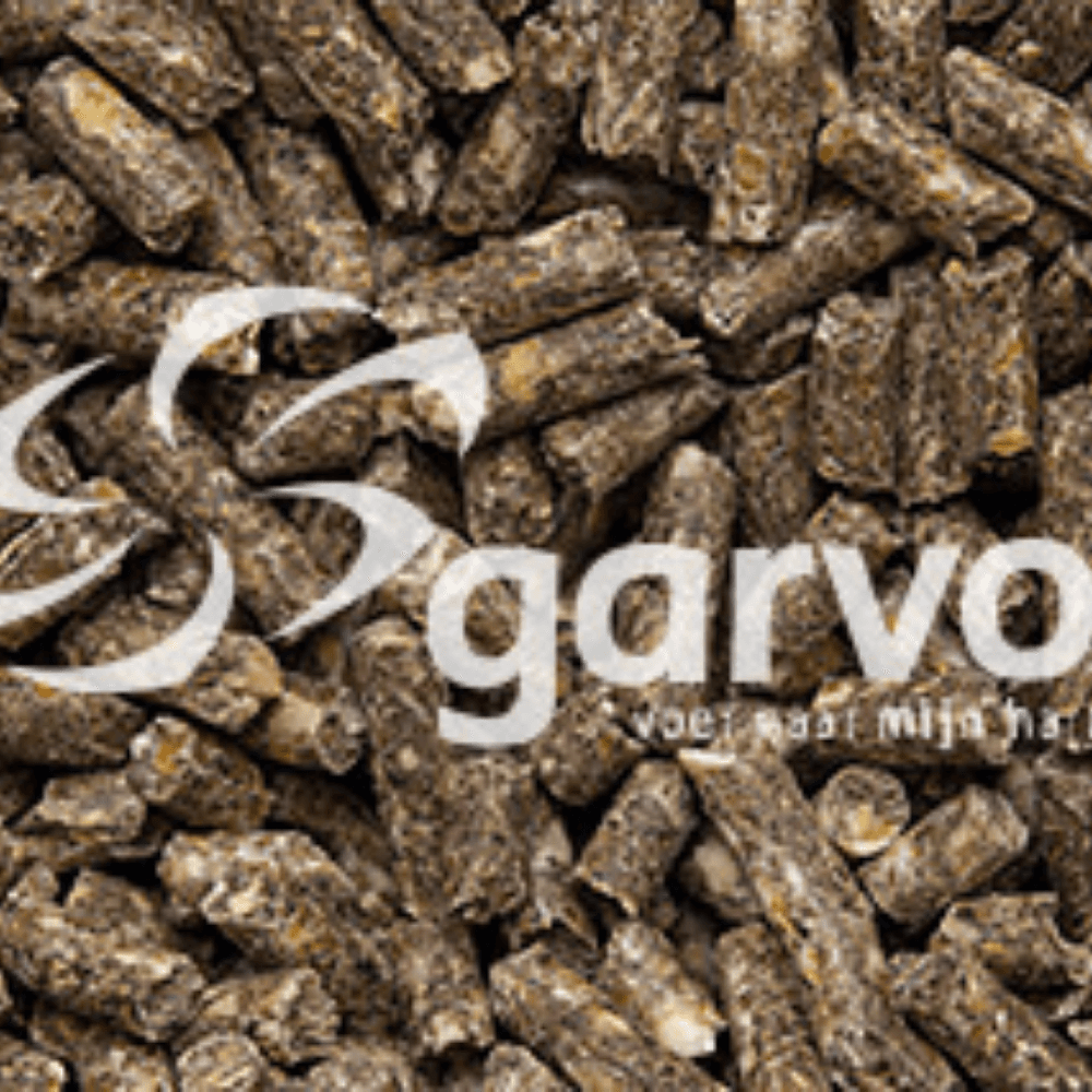 Watervogel Foktoomkorrel