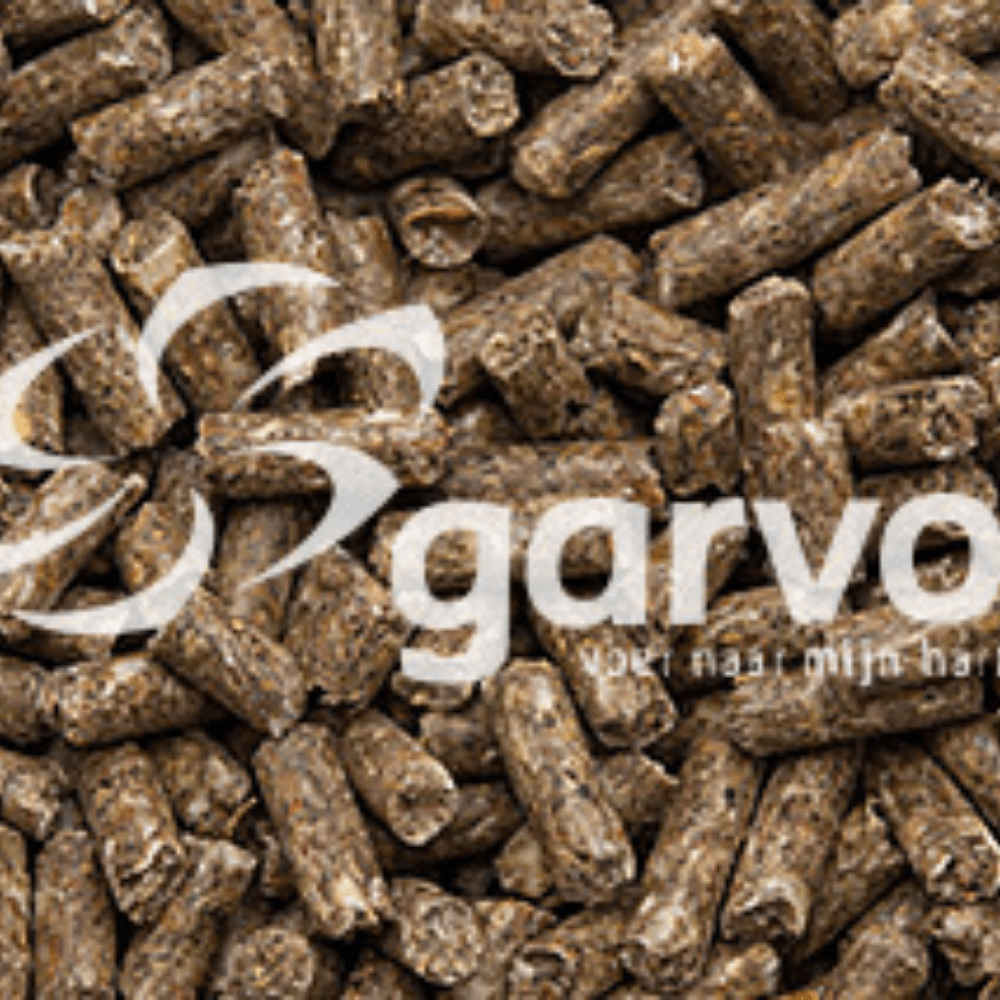 Watervogel Conditie/Showkorrel