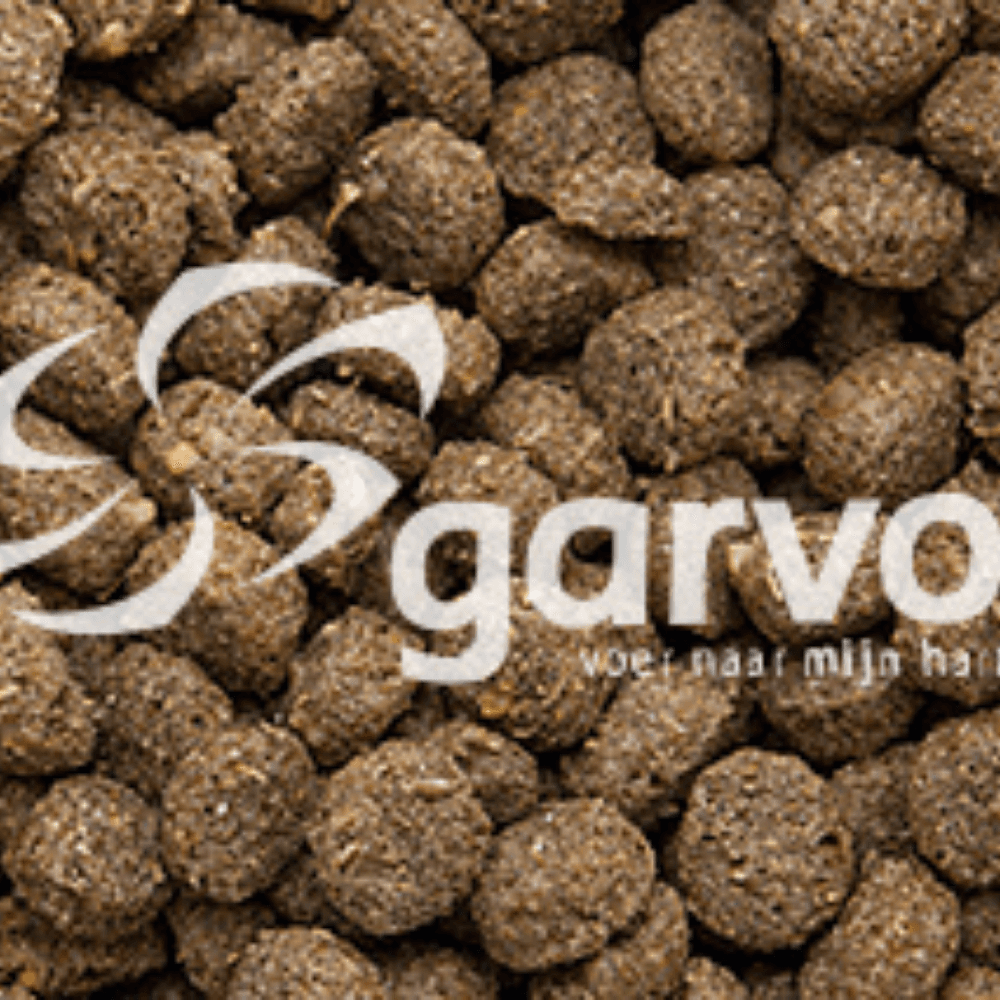 Enten Schwimmfutter 19