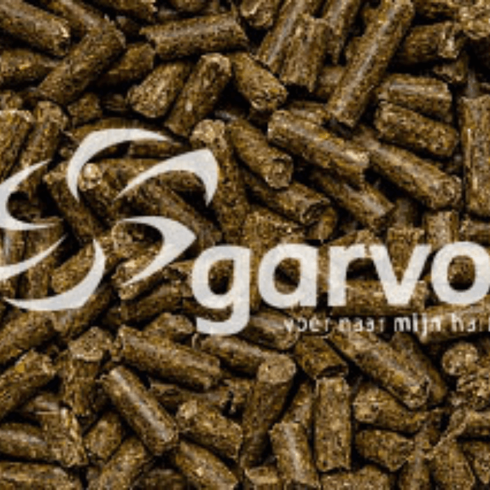 Loopvogelbrok (nandoe/emu/struisv)