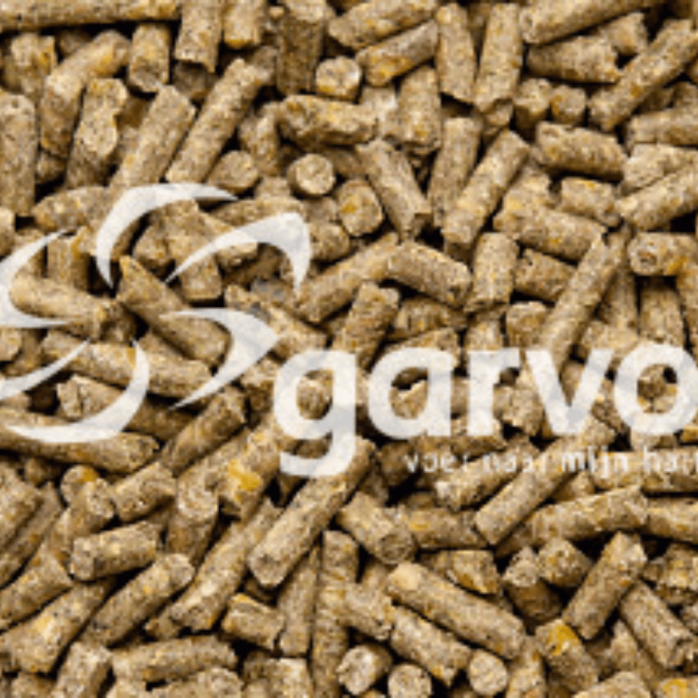 Opfokkorrel Kalkoen/Fazant