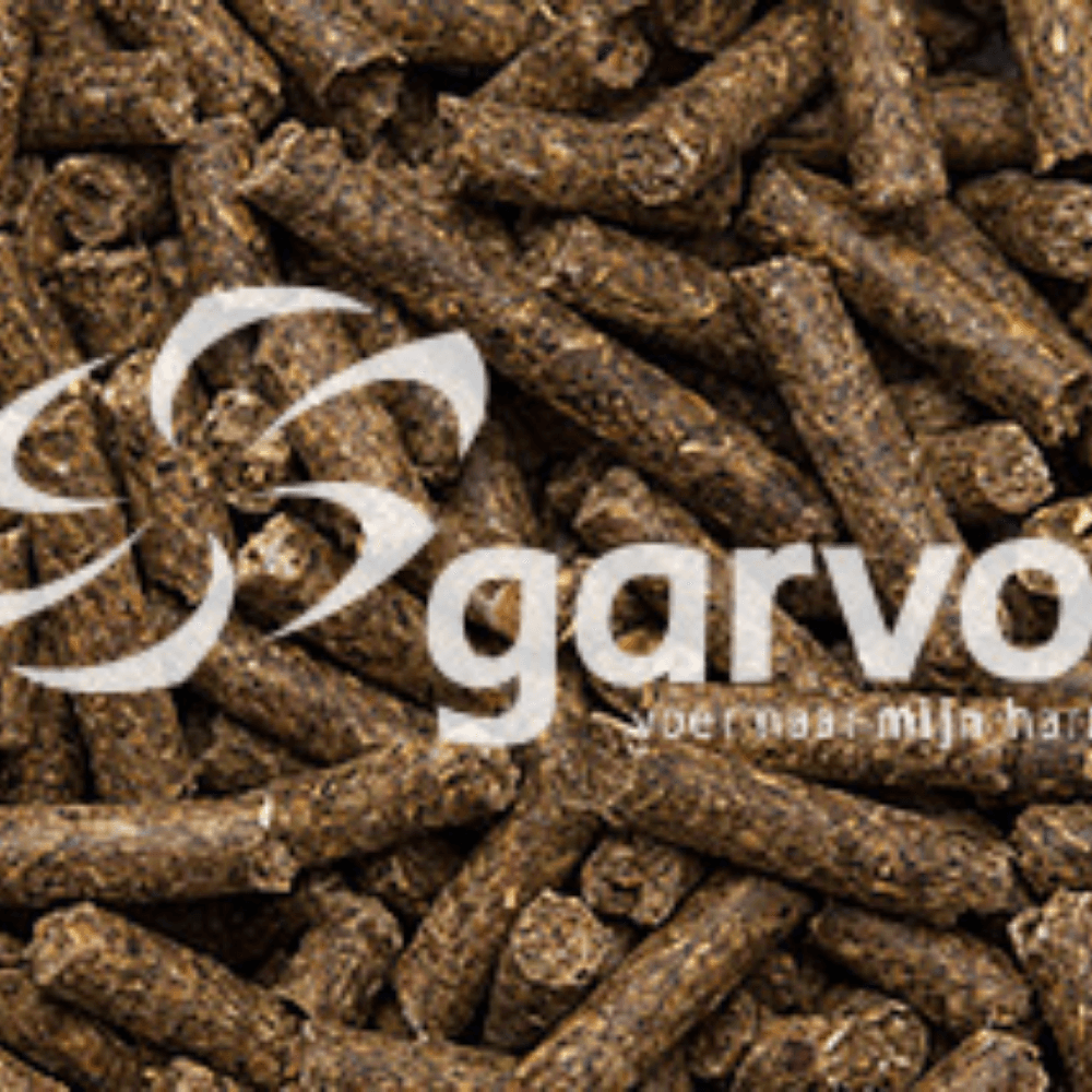 Konijnenkorrel Fok en Onderhoud