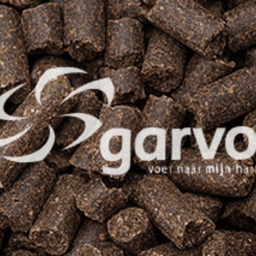 Rangers Geperste Hondenbrok