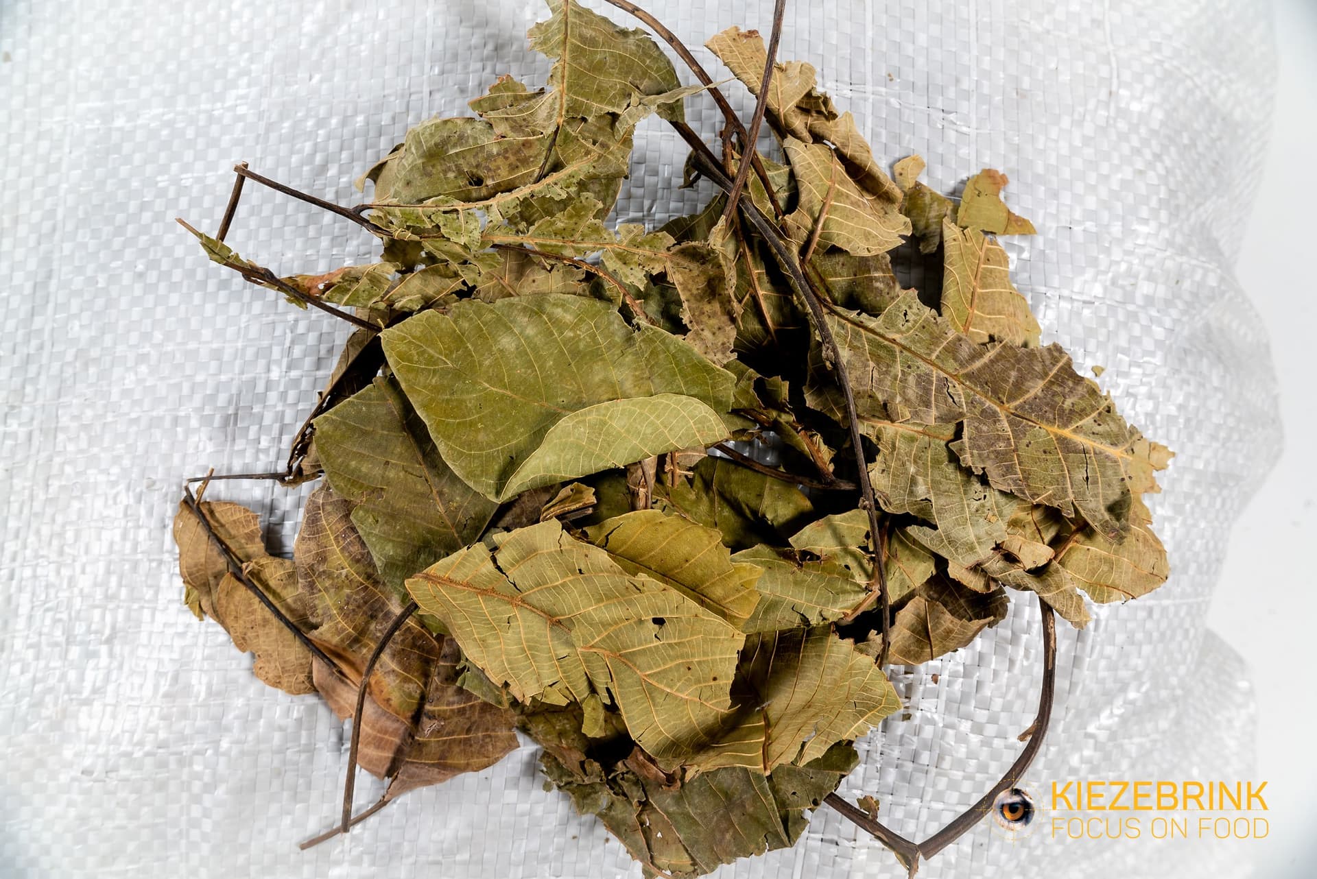 Walnootblad - 10-20 kg zak