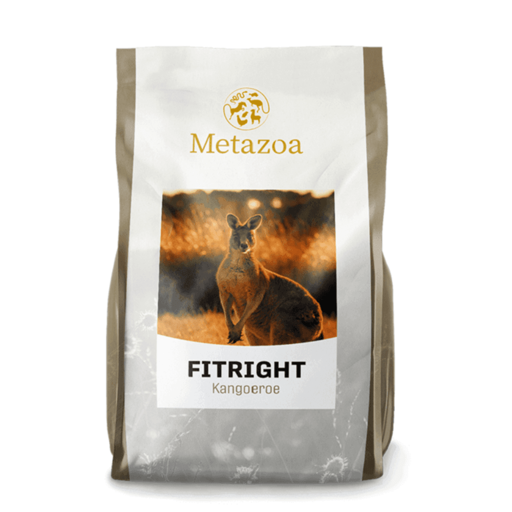 Metazoa Kangoeroekorrel