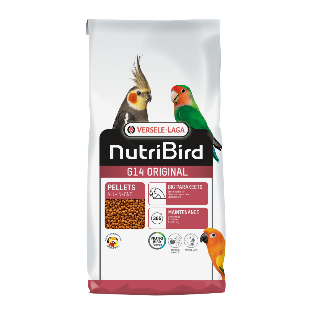 G14 Large Parakeet Original Maintenance