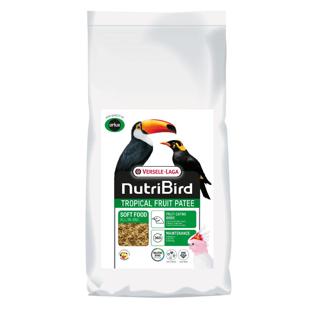 Tropical Pate Premium